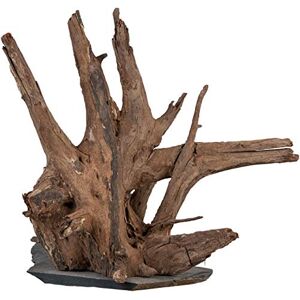 sera 32361 Scaper Wood M (Piece from 18 to 20 cm) Natural Wood Decoration for Aquarium Decoration Aquascaping sera 32361 Scaper Wood M (Piece from 18 to 20 cm) Natural Wood Decoration for Aquarium Decoration Aquascaping
