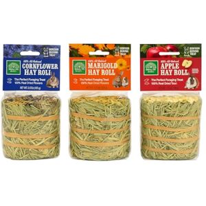 SMALL PET SELECT Timothy Hay Rolls, Natural Enrichment for Rabbits, Guinea Pigs, Chinchillas, 100% Natural, 3-Pack SMALL PET SELECT Timothy Hay Rolls, Natural Enrichment for Rabbits, Guinea Pigs, Chinchillas, 100% Natural, 3-Pack