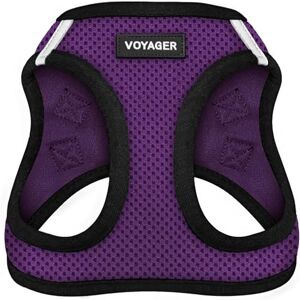 Best Pet Supplies Voyager Step-in Air Dog Harness All Weather Mesh, Reflective, No Pull Harness for Small, Medium Dogs, Cats Secure with Hook & Loop Fastener, Buckle, Double D-Rings Purple/Black Trim, M Best Pet Supplies Voyager Step-in Air Dog Harness All Weather Mesh, Reflective, No Pull Harness for Small, Medium Dogs, Cats Secure with Hook & Loop Fastener, Buckle, Double D-Rings Purple/Black Trim, M