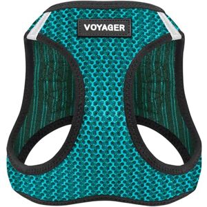Best Pet Supplies Turquoise Dog Harness - Small All Weather Mesh - Step-in Vest for Small and Medium Dogs Best Pet Supplies Turquoise Dog Harness - Small All Weather Mesh - Step-in Vest for Small and Medium Dogs