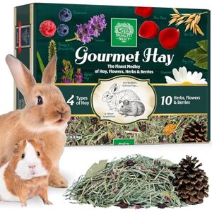 SMALL PET SELECT – Gourmet Hay Blend for Rabbits, Guinea Pigs & Small Animals Exclusive Treat Mix with Premium Hay, Flowers & Herbs Healthy, Natural Forage 2lb Box SMALL PET SELECT – Gourmet Hay Blend for Rabbits, Guinea Pigs & Small Animals Exclusive Treat Mix with Premium Hay, Flowers & Herbs Healthy, Natural Forage 2lb Box