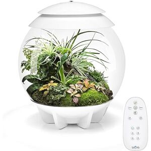 biOrb Air 30 Terrarium (White, 30 Litres), Perfect Beginner Terrarium With Integrated LED Lights To Encourage Natural Growth, Quick & Easy To Set Up, Fully Automated With 360-Degree View, Acrylic biOrb Air 30 Terrarium (White, 30 Litres), Perfect Beginner Terrarium With Integrated LED Lights To Encourage Natural Growth, Quick & Easy To Set Up, Fully Automated With 360-Degree View, Acrylic