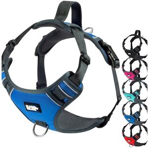 Rhino Comfort Dog Harness with Mesh Padded Vest for Small Large Breeds Adjustable, Reflective 2 Leash Attachments on Chest & Back Neoprene Padded Training Handle Large, Blue-Green Rhino Comfort Dog Harness with Mesh Padded Vest for Small Large Breeds Adjustable, Reflective 2 Leash Attachments on Chest & Back Neoprene Padded Training Handle Large, Blue-Green