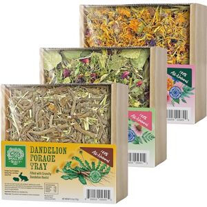 SMALL PET SELECT Forage Tray Bundle, 3 Pack of Foraging Trays for Rabbit, Guinea Pig, Hamster or Bunny Natural Treats, Dandelion, Flower, Herb Mix 2.5oz Each SMALL PET SELECT Forage Tray Bundle, 3 Pack of Foraging Trays for Rabbit, Guinea Pig, Hamster or Bunny Natural Treats, Dandelion, Flower, Herb Mix 2.5oz Each