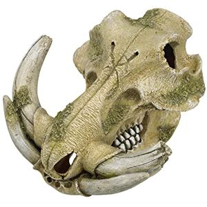 Nobby Aqua Ornaments Wart Pig Skull, 19.3 x 19.5 x 12 cm, Pack of 1 Nobby Aqua Ornaments Wart Pig Skull, 19.3 x 19.5 x 12 cm, Pack of 1