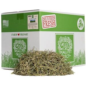 SMALL PET SELECT Alfalfa Hay Pet Food for Young Rabbits, Guinea Pigs, Chinchillas, Tortoises and Other Small Animals, Easy to Store Box, 20lb (9.07kg) SMALL PET SELECT Alfalfa Hay Pet Food for Young Rabbits, Guinea Pigs, Chinchillas, Tortoises and Other Small Animals, Easy to Store Box, 20lb (9.07kg)