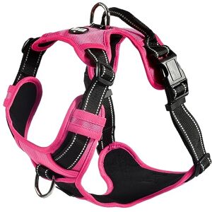 Bobby Rando Walk Dog Harness, Dog Harness, Medium Small Large Nylon Dog Harness, Safe, Comfortable, Reflective, Adjustable, Fuchsia, S/32-48x1.6CM Bobby Rando Walk Dog Harness, Dog Harness, Medium Small Large Nylon Dog Harness, Safe, Comfortable, Reflective, Adjustable, Fuchsia, S/32-48x1.6CM