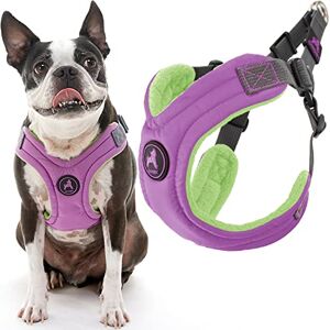 GOOBY Escape Free Memory Foam Harness Purple, Small No Pull Step-in Small Dog Harness with Four Point Adjustment Perfect on The Go Dog Harness for Medium Dogs No Pull and Small Dogs GOOBY Escape Free Memory Foam Harness Purple, Small No Pull Step-in Small Dog Harness with Four Point Adjustment Perfect on The Go Dog Harness for Medium Dogs No Pull and Small Dogs