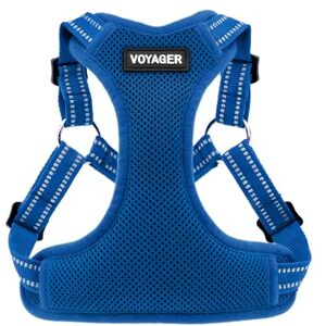 Best Pet Supplies Voyager Adjustable Dog Harness with Reflective Stripes by , Heavy-Duty Full Body No Pull Vest with Leash D-Ring, Breathable, Royal Blue, size M Best Pet Supplies Voyager Adjustable Dog Harness with Reflective Stripes by , Heavy-Duty Full Body No Pull Vest with Leash D-Ring, Breathable, Royal Blue, size M
