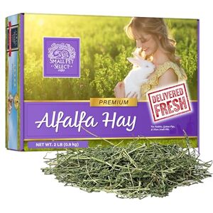 SMALL PET SELECT Alfalfa Hay Pet Food for Young Rabbits, Guinea Pigs, Chinchillas, Tortoises and Other Small Animals, Easy to Store Box, 0.91kg (2lb) SMALL PET SELECT Alfalfa Hay Pet Food for Young Rabbits, Guinea Pigs, Chinchillas, Tortoises and Other Small Animals, Easy to Store Box, 0.91kg (2lb)