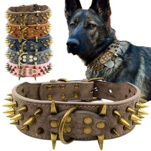 Brand Model - Spiked Dog Collar - Dog Collar Brand Model - Spiked Dog Collar - Dog Collar