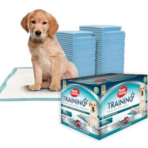 Simple Solution Super Absorbent Premium Dog and Puppy Training Pads Pack of 100. 60x60cm. Leak-proof 6 layer design. Anti-slip, odour-neutralising. Large 100 Pack Simple Solution Super Absorbent Premium Dog and Puppy Training Pads Pack of 100. 60x60cm. Leak-proof 6 layer design. Anti-slip, odour-neutralising. Large 100 Pack