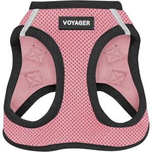 Best Pet Supplies Pink XS Dog Harness - All Weather Mesh Vest for Small and Medium Dogs Best Pet Supplies Pink XS Dog Harness - All Weather Mesh Vest for Small and Medium Dogs