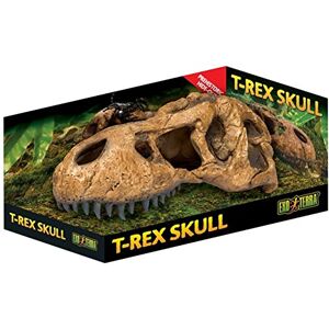 Exo Terra T Rex Skull,Brown Exo Terra T Rex Skull,Brown