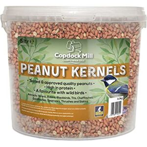 Copdock Mill Peanuts for Wild Birds Peanut Kernels Bird Feed 5L Tub High In Energy, Protein Rich Wild Bird Peanuts Bird Seeds for Small Garden Birds Copdock Mill Peanuts for Wild Birds Peanut Kernels Bird Feed 5L Tub High In Energy, Protein Rich Wild Bird Peanuts Bird Seeds for Small Garden Birds