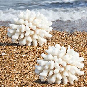Besimple Pack of 2 Artificial Coral Ornament, Aquarium Resin Coral Decor Underwater Sea Plants Fish Tank Decoration Aquarium Plants Besimple Pack of 2 Artificial Coral Ornament, Aquarium Resin Coral Decor Underwater Sea Plants Fish Tank Decoration Aquarium Plants