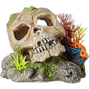 Nobby Aquarium Ornaments, Skull with Plants, Gothic Green, Halloween, 13.5 x 13.5 x 10.5 cm Nobby Aquarium Ornaments, Skull with Plants, Gothic Green, Halloween, 13.5 x 13.5 x 10.5 cm