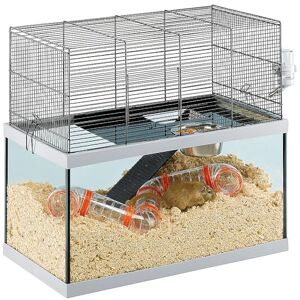 Ferplast Rodent Cage GABRY 60 for Gerbils, Hamsters, in Metal and Glass, Accessories included: Bowl, Drinking bottle, Shelf, Ladder, Pipe set. 60x31,5xh52cm Ferplast Rodent Cage GABRY 60 for Gerbils, Hamsters, in Metal and Glass, Accessories included: Bowl, Drinking bottle, Shelf, Ladder, Pipe set. 60x31,5xh52cm