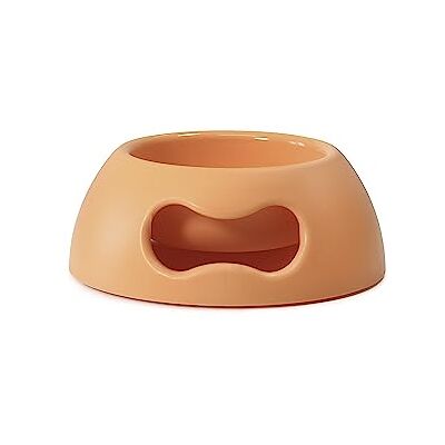 United Pappy Small Dog and Cat Bowl, EcoFriendly, Italian Design, Made in Italy, Orange, Bowl for Small Dogs and Cats, Capacity 350ml (12 oz) United Pappy Small Dog and Cat Bowl, EcoFriendly, Italian Design, Made in Italy, Orange, Bowl for Small Dogs and Cats, Capacity 350ml (12 oz)