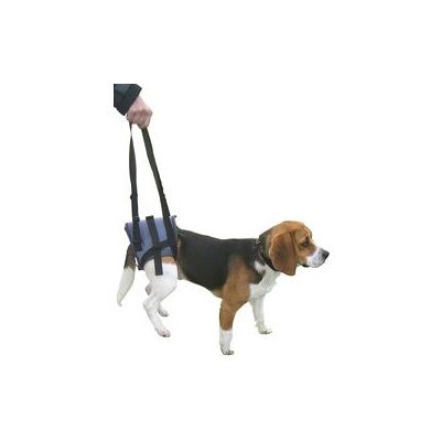 KeyNuts Handy Canis Harness Rear Legs L KeyNuts Handy Canis Harness Rear Legs L