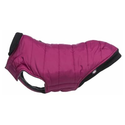 Trixie Dog Coat, XXS: 24 cm, Cherry, Polyester, Water-Repellent, Fleece, Padded Trixie Dog Coat, XXS: 24 cm, Cherry, Polyester, Water-Repellent, Fleece, Padded