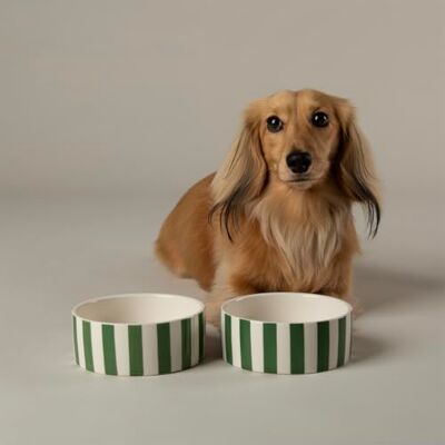 Scruffs Amalfi Striped 2 Piece Dog Bowl Food & Water Bowl Set Green 13cm Scruffs Amalfi Striped 2 Piece Dog Bowl Food & Water Bowl Set Green 13cm