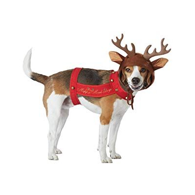 California Costumes Collections PET20155 Apparel for Pets, Small California Costumes Collections PET20155 Apparel for Pets, Small