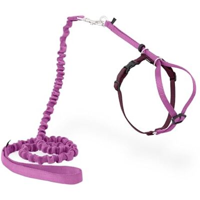 PetSafe Come with Me Kitty Harness and Bungee Leash, Harness for Cats, Medium, Dusty Rose/Burgundy PetSafe Come with Me Kitty Harness and Bungee Leash, Harness for Cats, Medium, Dusty Rose/Burgundy