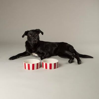 Scruffs Amalfi Striped 2 Piece Dog Bowl Food & Water Bowl Set Red 15cm Scruffs Amalfi Striped 2 Piece Dog Bowl Food & Water Bowl Set Red 15cm