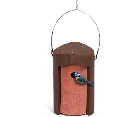 Jacobi Jayne Schwegler 1B Bird Box 26mm Entry Hole Nest Box for Garden and Wild Birds Long Lasting Jacobi Jayne Schwegler 1B Bird Box 26mm Entry Hole Nest Box for Garden and Wild Birds Long Lasting
