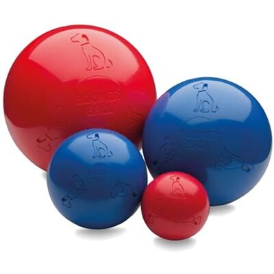 Company Of Animals Boomer Ball 8 inch - Dog Toy Company Of Animals Boomer Ball 8 inch - Dog Toy