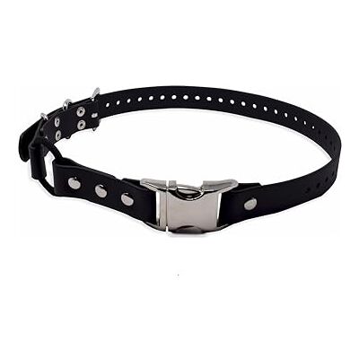Educator Quick Snap Bungee Dog Collar, Biothane, Waterproof, Odorproof, Easy Connect and Disconnect Clasp and D Ring with Comfort Bungee Loop, Adjustable for Custom Fit, 1-Inch, Black Educator Quick Snap Bungee Dog Collar, Biothane, Waterproof, Odorproof, Easy Connect and Disconnect Clasp and D Ring with Comfort Bungee Loop, Adjustable for Custom Fit, 1-Inch, Black