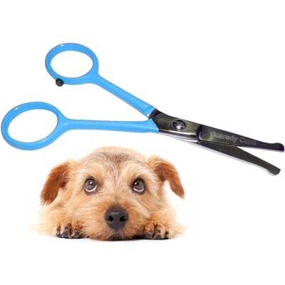 Scaredy Cut Tiny Trim 4.5" Ball-Tipped Scissor for Dog, Cat and All Pet Grooming Ear, Nose, Face & Paw 's Small Safety Scissor Blue Scaredy Cut Tiny Trim 4.5" Ball-Tipped Scissor for Dog, Cat and All Pet Grooming Ear, Nose, Face & Paw 's Small Safety Scissor Blue