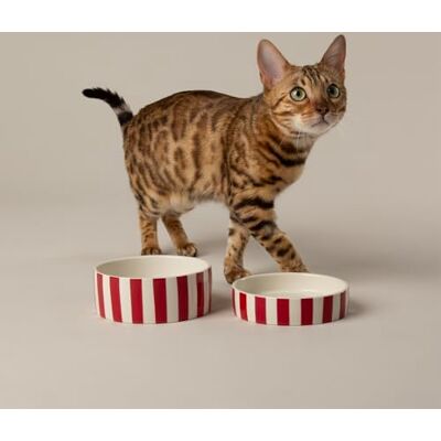 Scruffs Amalfi Striped 2 Piece Cat Food Bowl & Saucer Set Red Scruffs Amalfi Striped 2 Piece Cat Food Bowl & Saucer Set Red