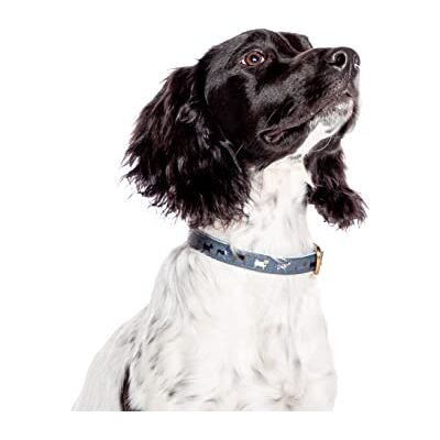 Beauty Water Danish Design FatFace Marching Dogs Woven Genuine Leather Trim Metal Buckle Blue Dog/Puppy Collar Small 15mm 35-45 cm Beauty Water Danish Design FatFace Marching Dogs Woven Genuine Leather Trim Metal Buckle Blue Dog/Puppy Collar Small 15mm 35-45 cm