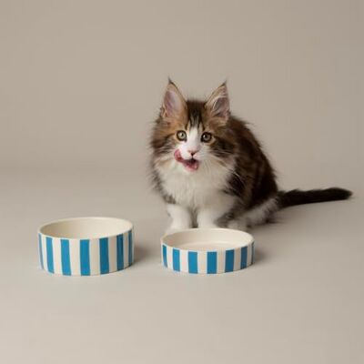 Scruffs Amalfi Striped 2 Piece Cat Food Bowl & Saucer Set Blue Scruffs Amalfi Striped 2 Piece Cat Food Bowl & Saucer Set Blue