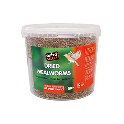 Extra Select - Dried Mealworms Extra Select - Dried Mealworms