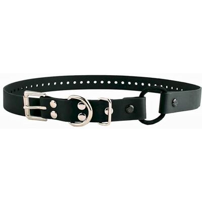 Educator Bungee Collar, 3/4-Inch Wide by 33-Inches Long, Black Educator Bungee Collar, 3/4-Inch Wide by 33-Inches Long, Black