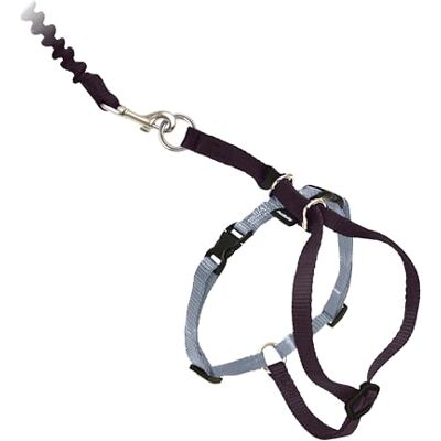 PetSafe Come with Me Kitty Harness and Bungee Leash, Harness for Cats, Large, Black/Silver PetSafe Come with Me Kitty Harness and Bungee Leash, Harness for Cats, Large, Black/Silver