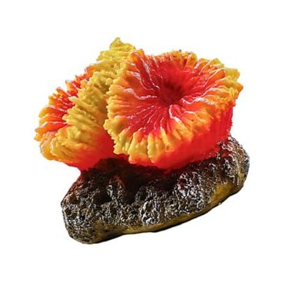 Qcbuegof Natural Lookings Corals Reef Landscape Decoration for Fishtank Underwater Decors Safe Habitats for Pet Fish Shrimp Fishtank Decoration Qcbuegof Natural Lookings Corals Reef Landscape Decoration for Fishtank Underwater Decors Safe Habitats for Pet Fish Shrimp Fishtank Decoration