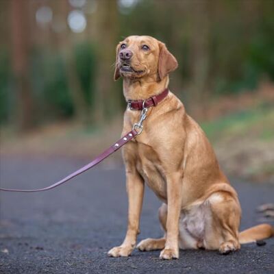 Baker and Bray Baker & Bray Eco Friendly Leather Dog Lead, Brown Baker and Bray Baker & Bray Eco Friendly Leather Dog Lead, Brown