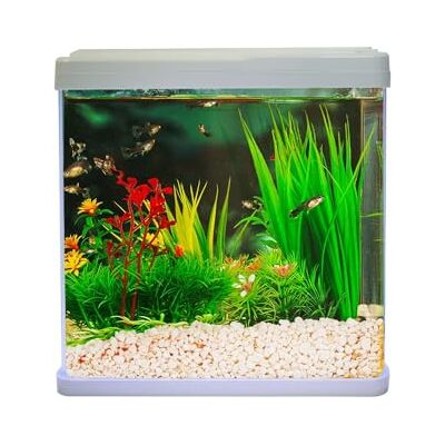 Swell UK Swell Aquaventure Glass Aquarium, 14L, 30cm (White With Heater) Swell UK Swell Aquaventure Glass Aquarium, 14L, 30cm (White With Heater)