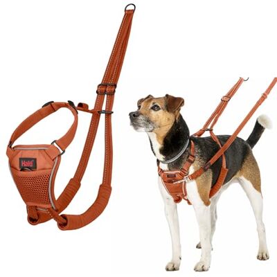 Halti No Pull Harness Stop Your Dog Pulling on the Leash. Adjustable, Lightweight and Easy to Use. Reflective Dog Training Harness for Toy and Small Dogs (Size XS, Burnt Orange) Halti No Pull Harness Stop Your Dog Pulling on the Leash. Adjustable, Lightweight and Easy to Use. Reflective Dog Training Harness for Toy and Small Dogs (Size XS, Burnt Orange)