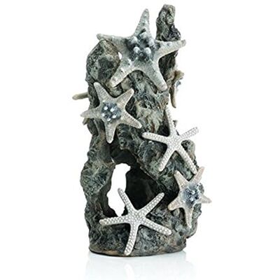 biOrb Fish Tank Decorations, Stone Starfish Aquarium Ornament (Grey Colour), Beautifully Detailed Artificial Fish Tank Accessories To Add Colour, Natural-Looking Aquarium Decor For Scenic Background biOrb Fish Tank Decorations, Stone Starfish Aquarium Ornament (Grey Colour), Beautifully Detailed Artificial Fish Tank Accessories To Add Colour, Natural-Looking Aquarium Decor For Scenic Background