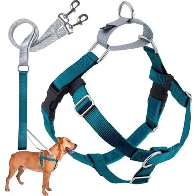 2 Hounds Design Freedom No-Pull Dog Harness with Leash, Medium, 5/8-Inch Wide, Teal 2 Hounds Design Freedom No-Pull Dog Harness with Leash, Medium, 5/8-Inch Wide, Teal