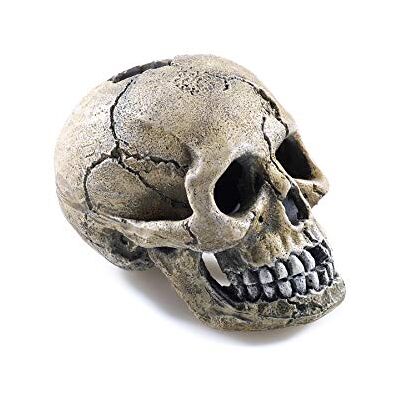CLASSIC Spooky Skull Fish Tank Ornament, 4-Inch CLASSIC Spooky Skull Fish Tank Ornament, 4-Inch