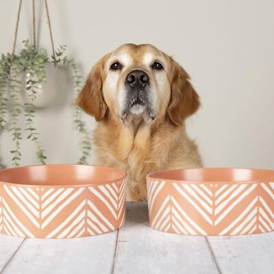 Scruffs Aztec 2pc Ceramic Dog Bowl Set Terracotta 19cm Scruffs Aztec 2pc Ceramic Dog Bowl Set Terracotta 19cm
