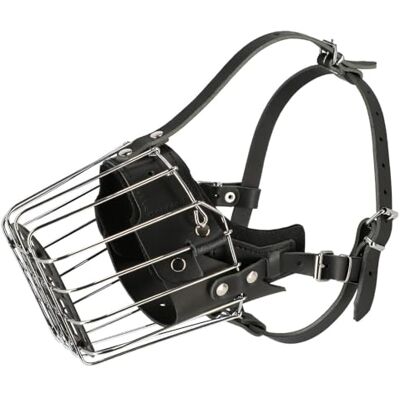 DINGO GEAR WWW.DINGOGEAR.COM 1977 DINGO GEAR Dog Training Muzzle, Military K9 Agitation Metal Muzzle for Male Rottweiler S02999 DINGO GEAR WWW.DINGOGEAR.COM 1977 DINGO GEAR Dog Training Muzzle, Military K9 Agitation Metal Muzzle for Male Rottweiler S02999