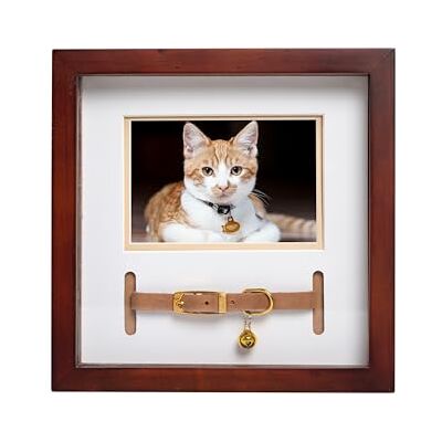 Pearhead Pet Collier Pour Chien Ou Chat Parfait Pour Les Amoureux Des Animaux De Compagnie Expresso - Pet Collar Pearhead Pet Collier Pour Chien Ou Chat Parfait Pour Les Amoureux Des Animaux De Compagnie Expresso - Pet Collar