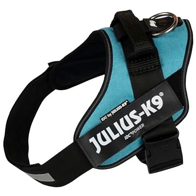 Julius-K9 IDC Powerharness, Size: 1/L, Turquoise Julius-K9 IDC Powerharness, Size: 1/L, Turquoise